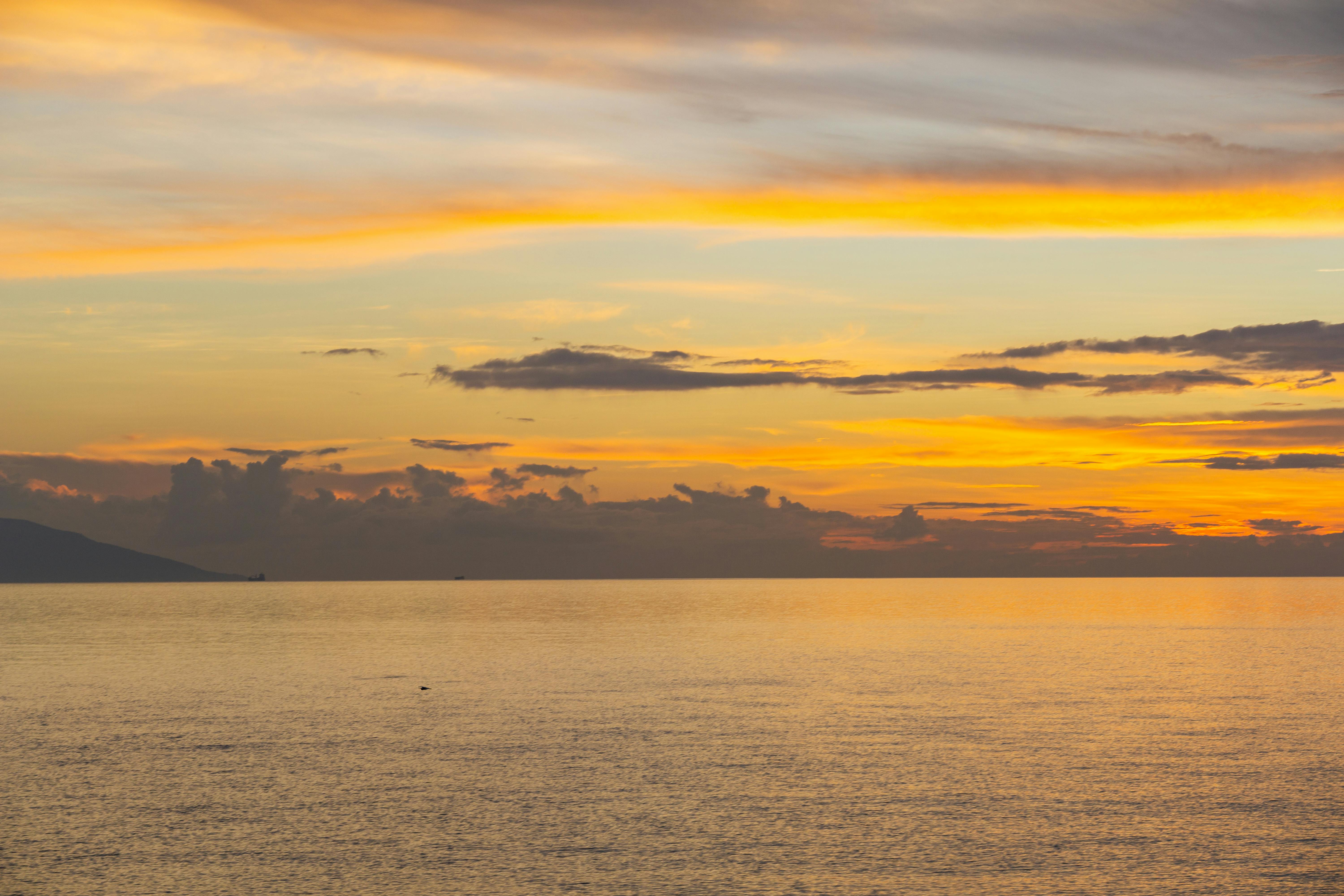 好的，我会按照您的要求进行句子的优化