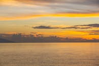 好的，我会按照您的要求进行句子的优化