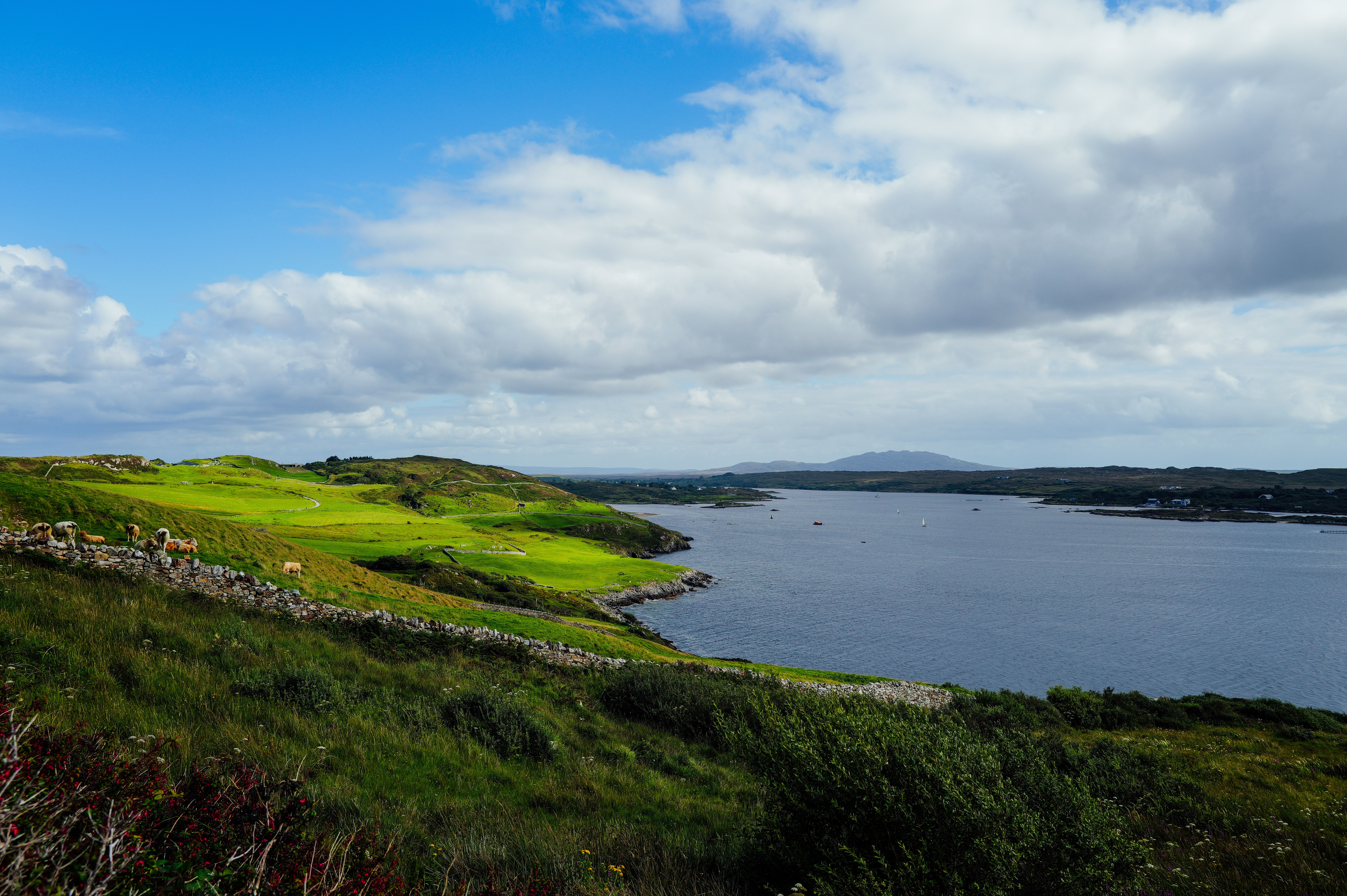 kpmg women's irish open