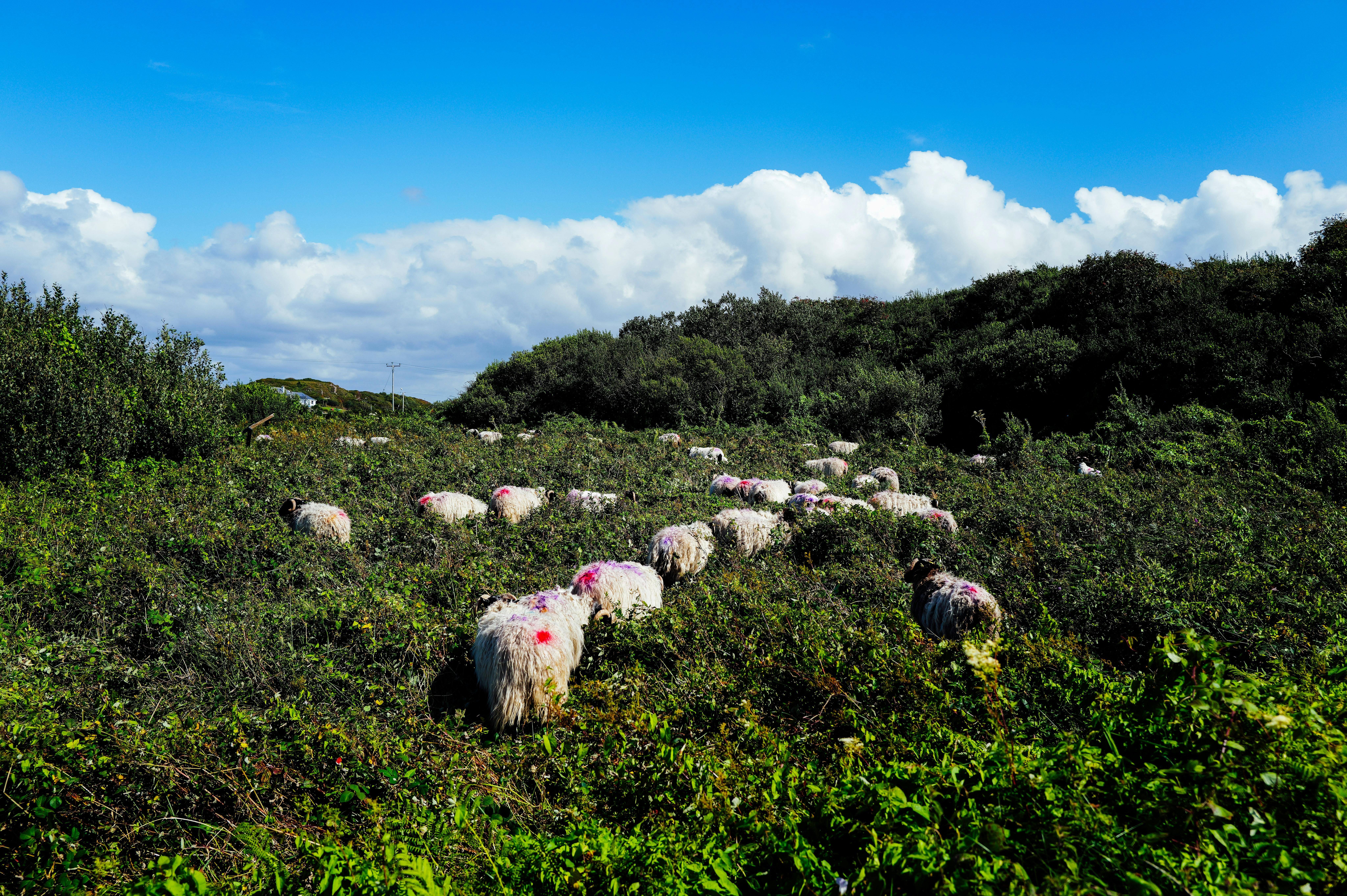 Conceptual image representing fighting friend