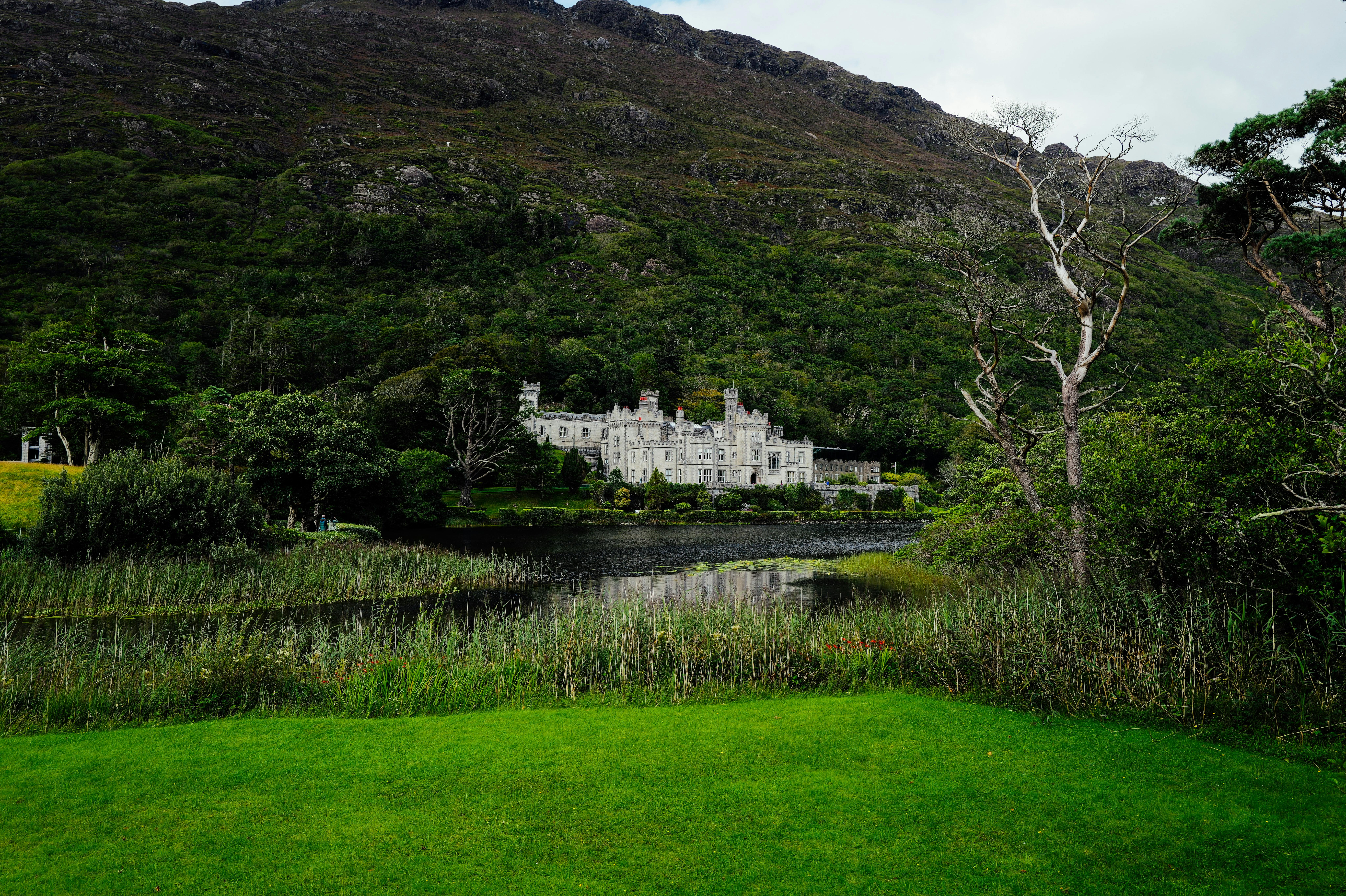 Aramark Ireland Wins Property Management Team of the Year Award — Photo by Adrien Olichon on Pexels