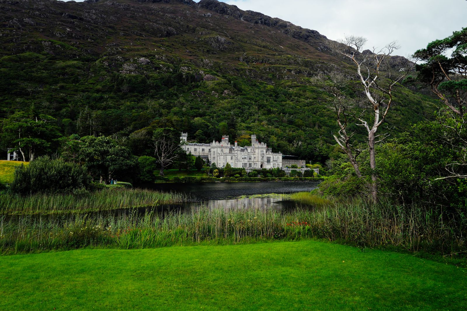 Landscape of Kylemore Abbey set against greenery and mountains