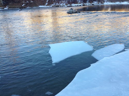 Foto profissional grátis de azul, Canadá, fluxo de gelo