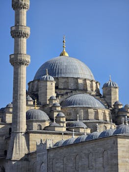 好的，我了解了