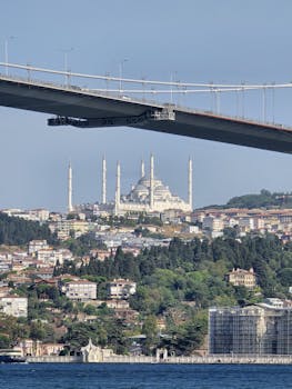 好的，我会按照您的要求进行句子的优化