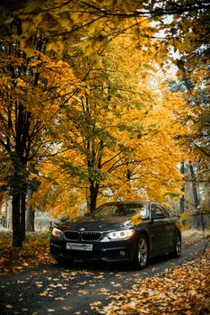 Luxury car navigating a scenic road surrounded by vibrant autumn trees.