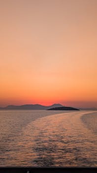 好的，我会根据您的要求对句子进行优化