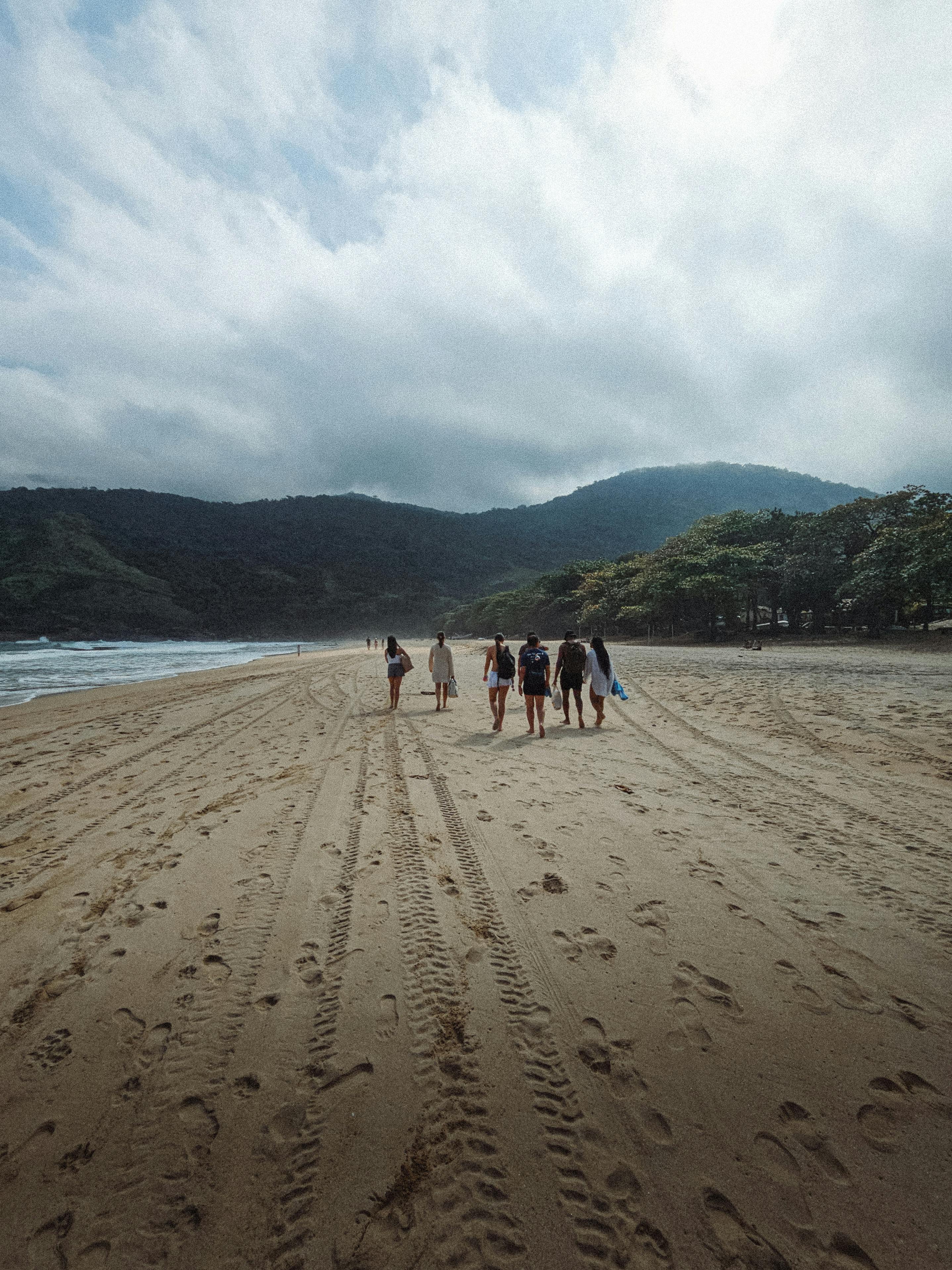 好的，我会按照您的要求进行句子的优化