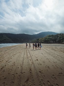 好的，我会按照您的要求进行句子的优化