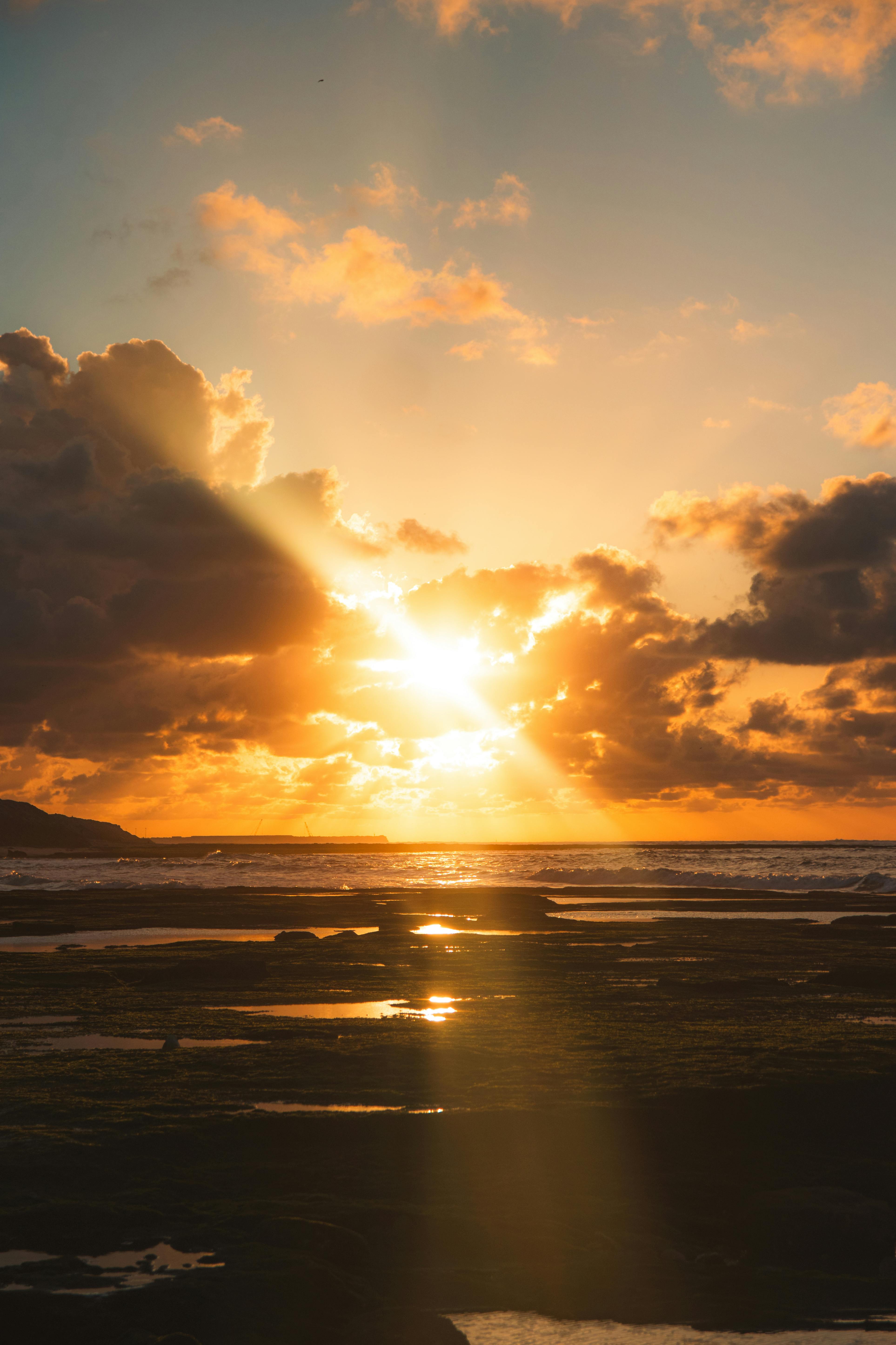 孙是一个人名，可以作为主语、宾语或表语使用
