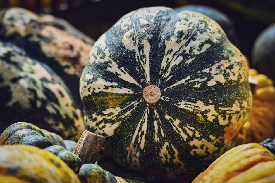 Colorful fall vegetables including squash pumpkins and root vegetables at a market