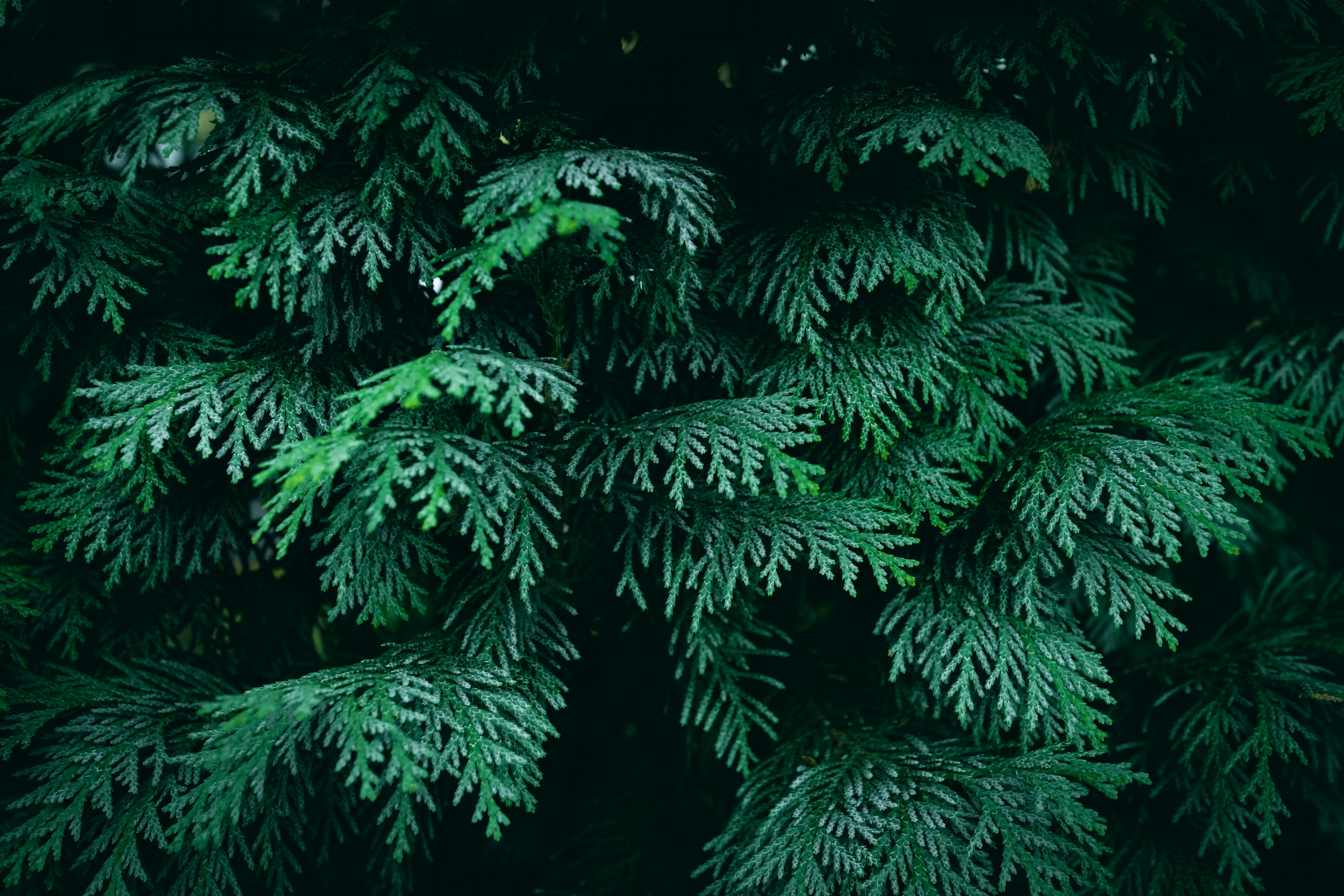 Evergreen Nephrology Posts Strong CMS Savings While Doubling Down on Patient Education and Physician Ties - TipRanks — Photo 