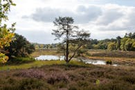 荷兰高沼地景观是荷兰的标志性景观之一，它位于荷兰南部的格罗宁根省