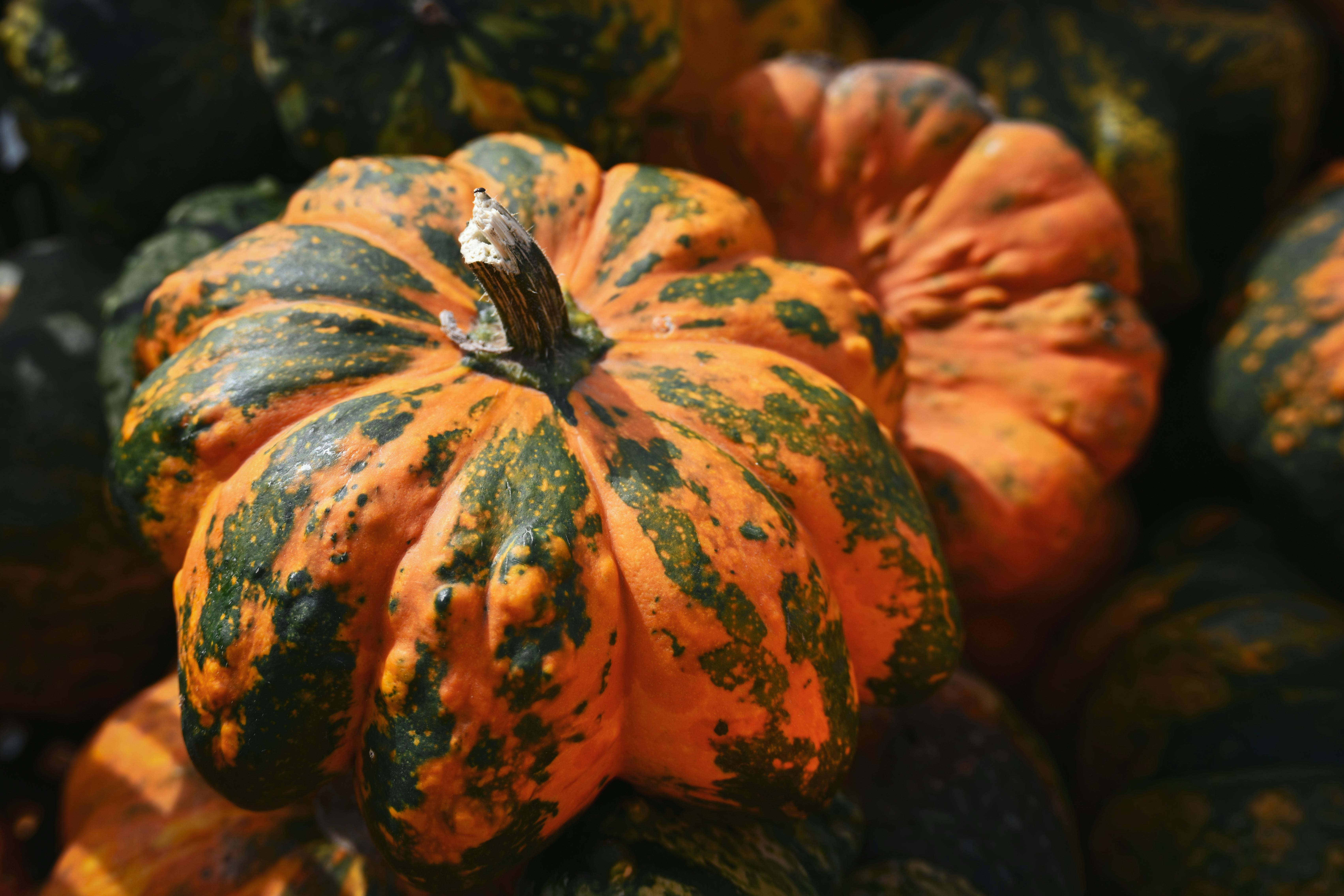 10月11日財經五大焦點搶先看，掌握最新市場趨勢