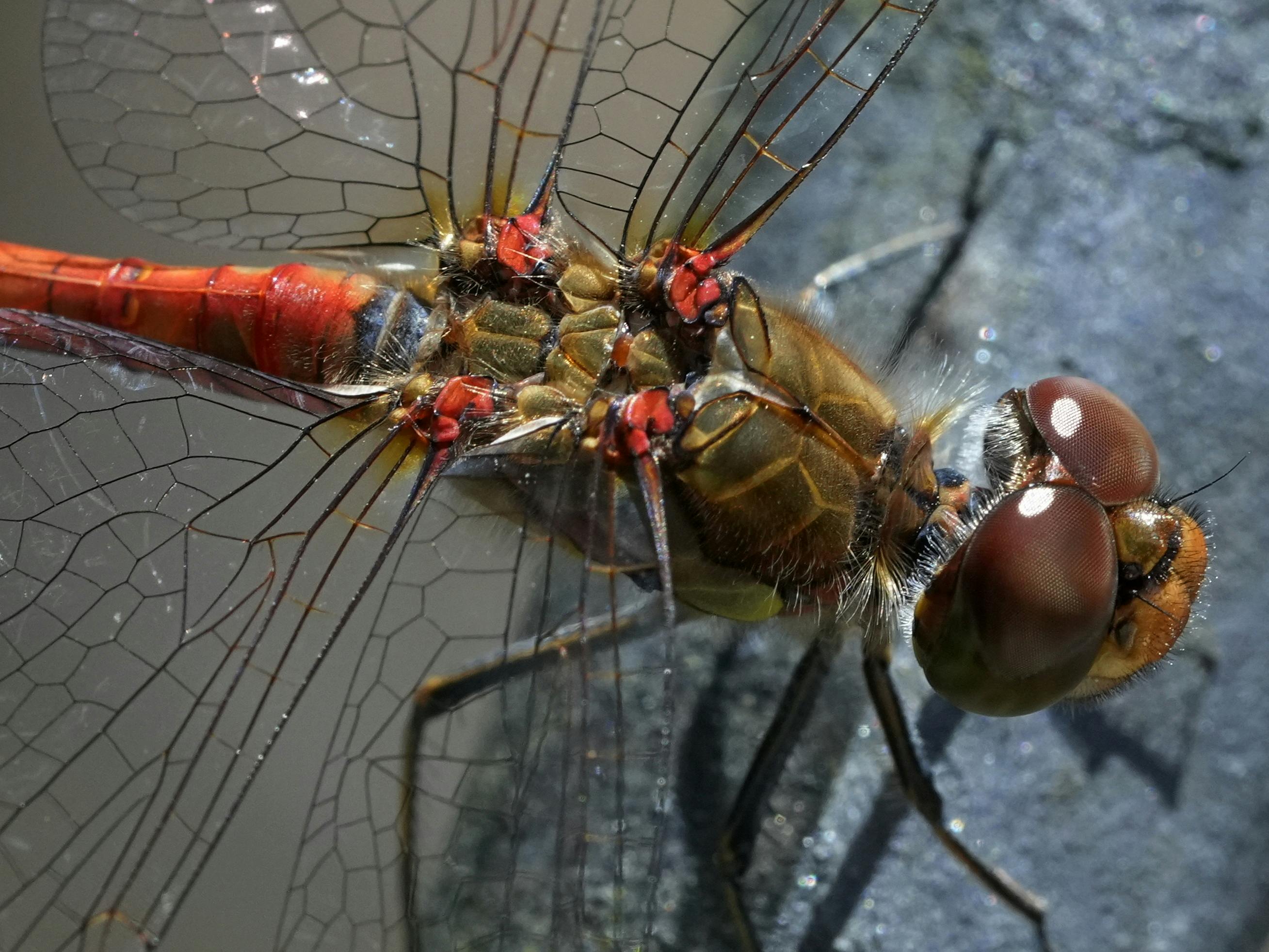 高雄南美術館生活圈吸引移居熱潮，房市成長潛力大