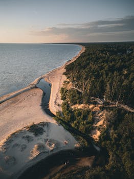 好的，我会根据您的要求对句子进行优化