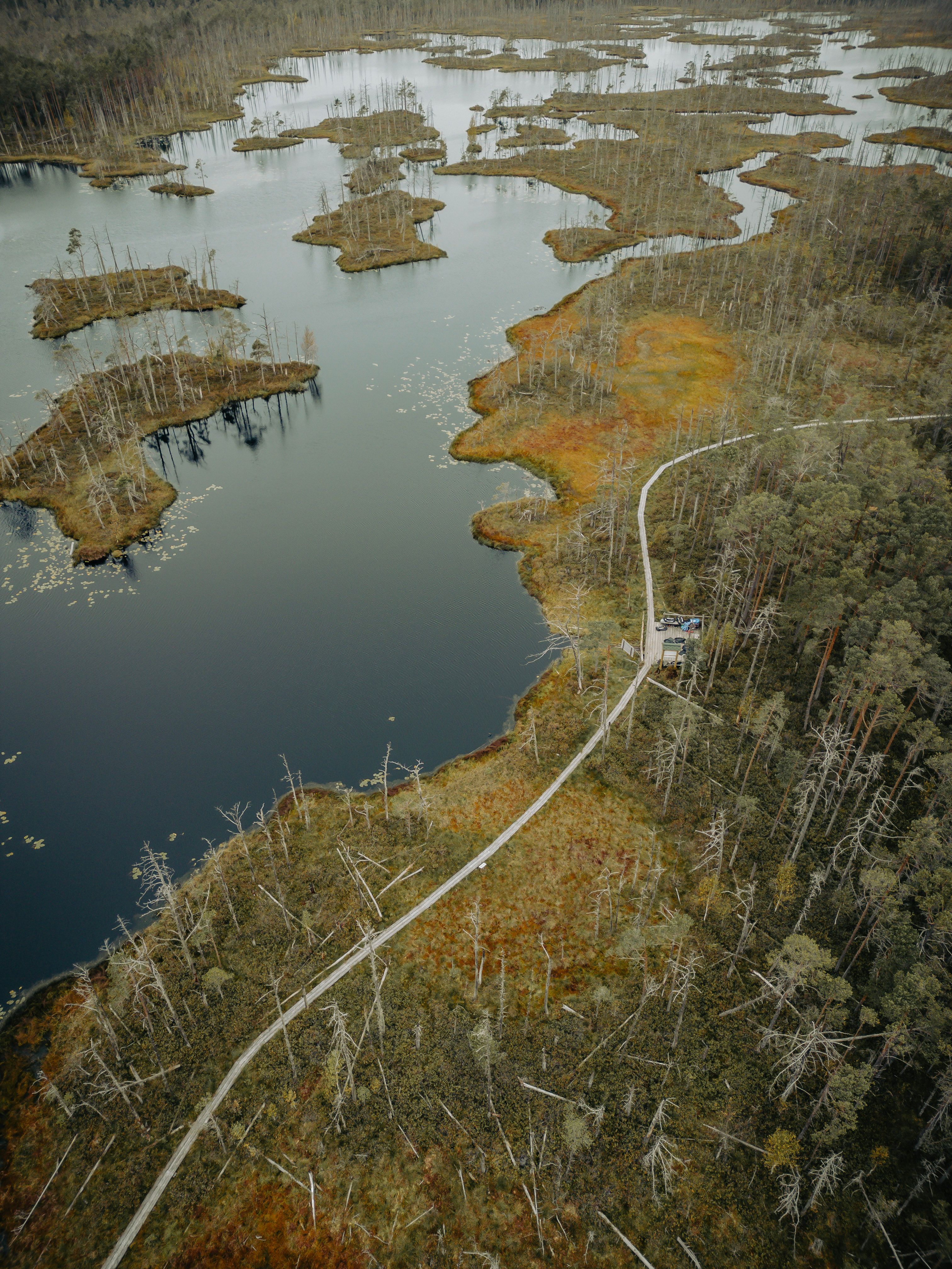 Aerial view of serene wetlands featuring winding boardwalk path through the marshland landscape.