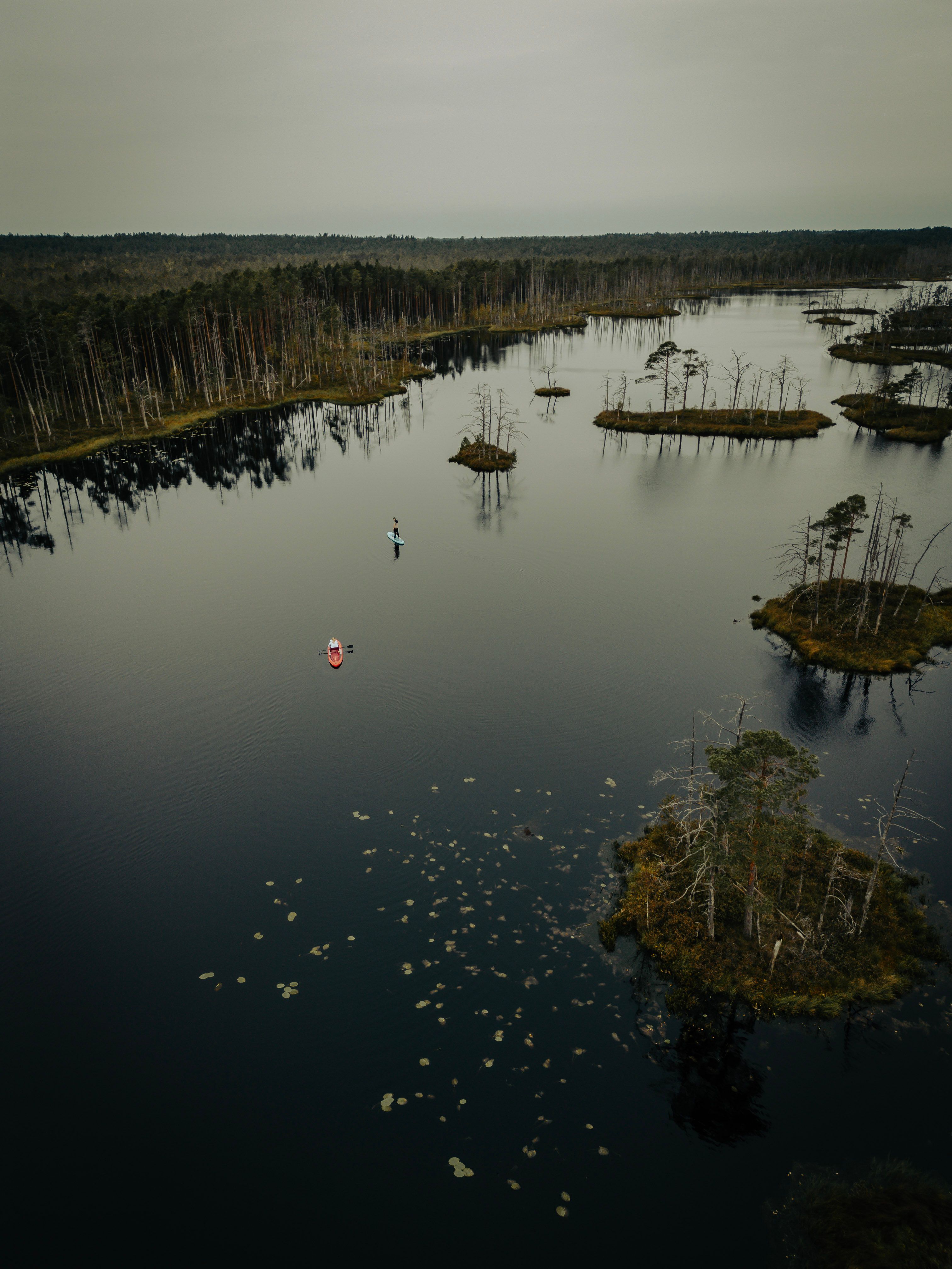 Serene aerial scene of kayakers on a peaceful forest lake captured in soft light.