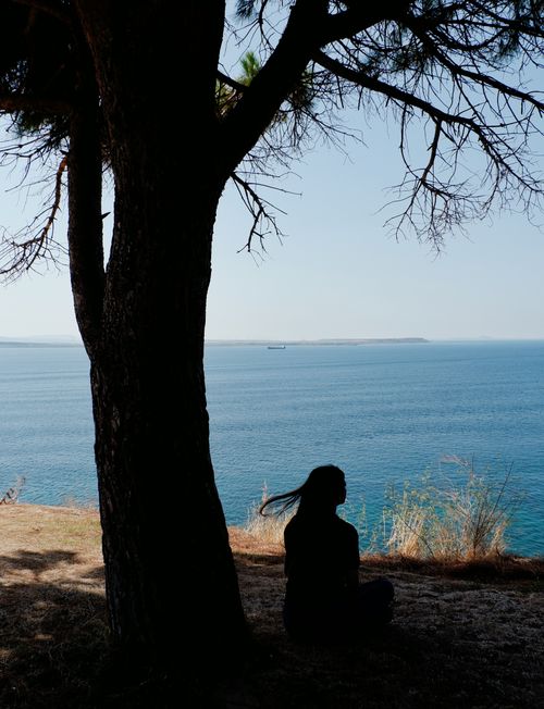 Free A silhouette of a person sitting by a tree, overlooking the tranquil sea under a clear blue sky. Stock Photo