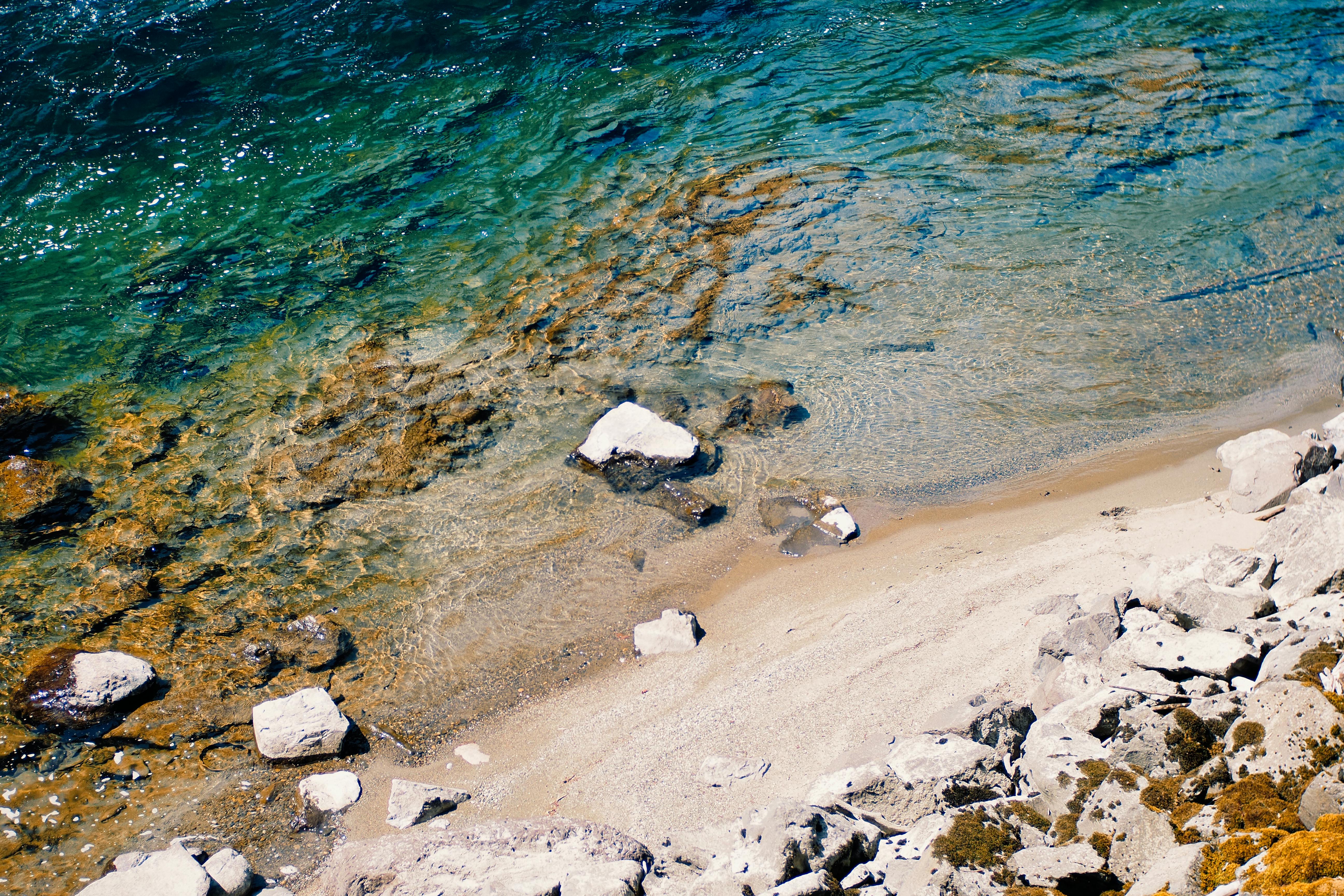 好的，我明白了您的需求
