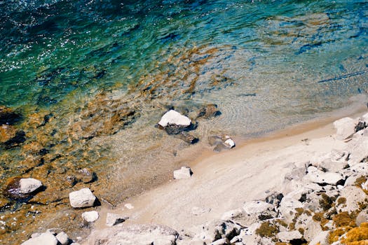 好的，我明白了您的需求