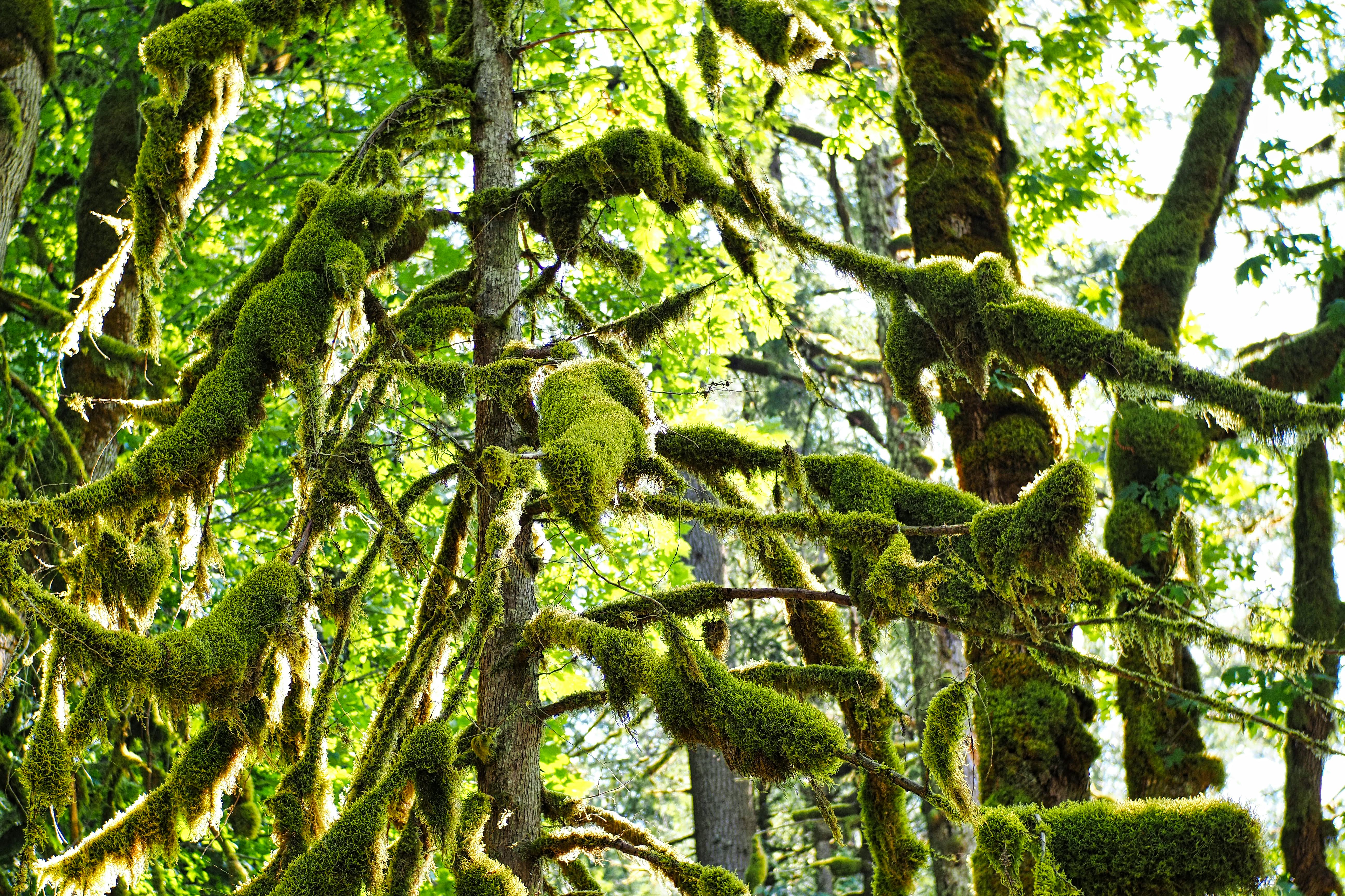 Image : Unlock Growth: Why UX Is Your Business's Ultimate Secret Weapon