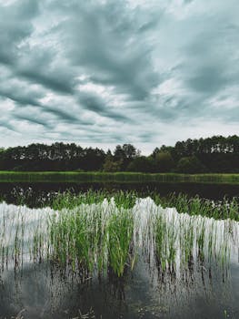 灰色的日子，格栅的日子