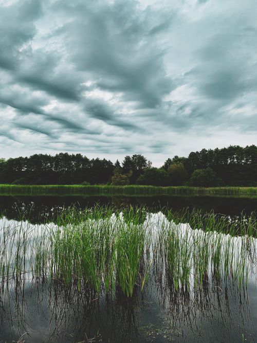 Free Peaceful pond with greenery and cloudy sky in Ukraine. Stock Photo
