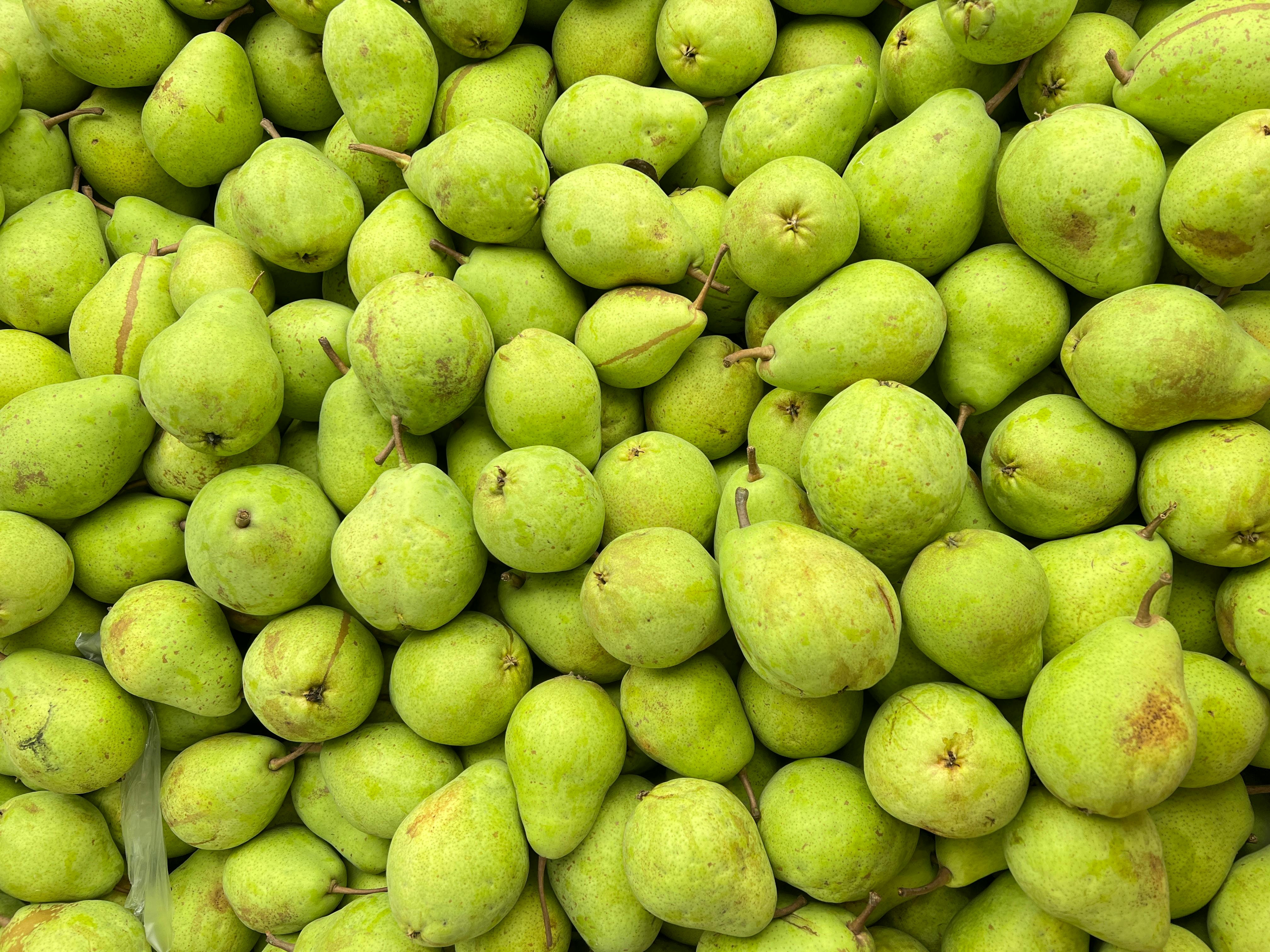 科技男醫師聯誼只找這類女生！她揭殘酷真相：宛如人肉市場