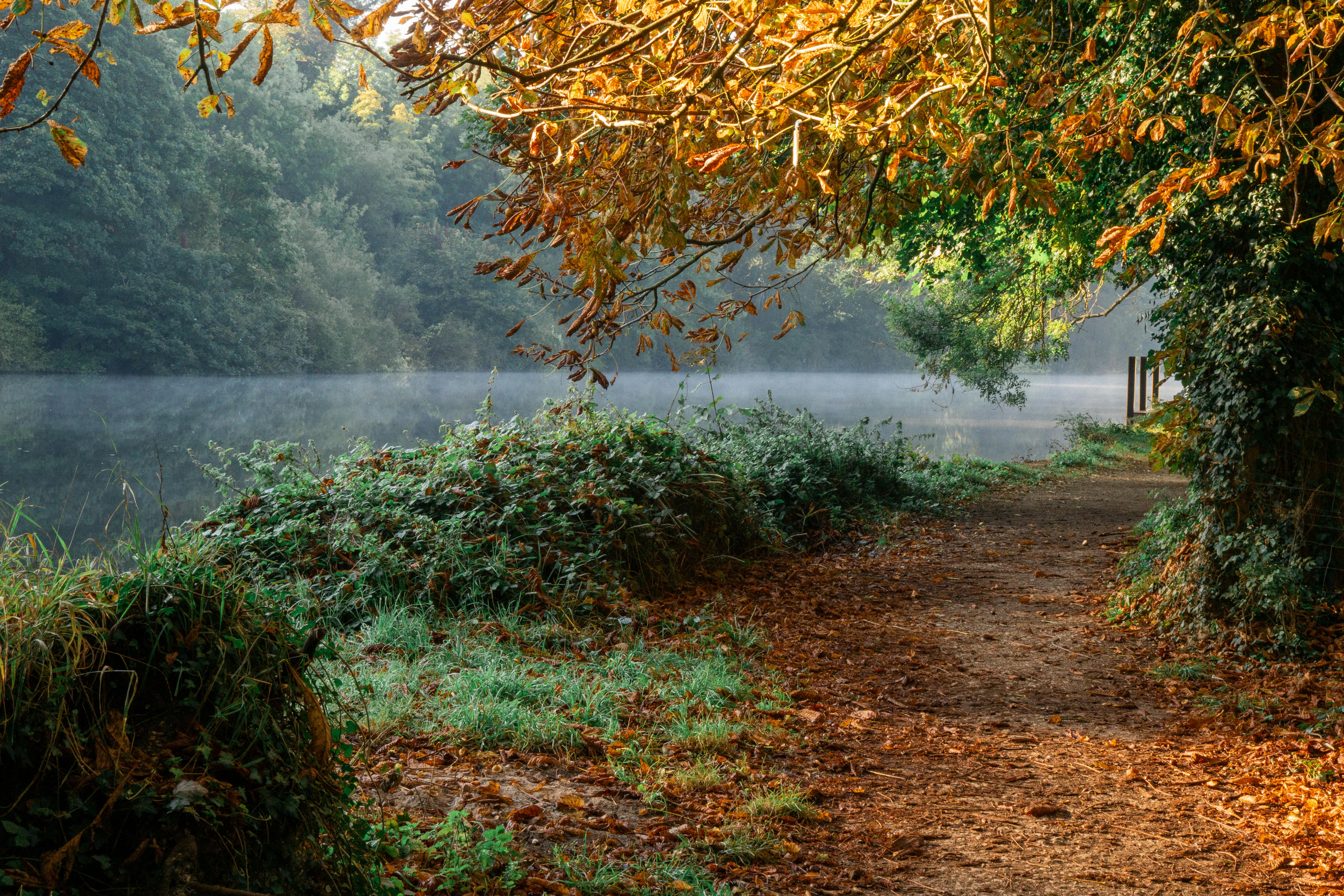 Simple Sustainable Lifestyle Hacks for a Greener Future