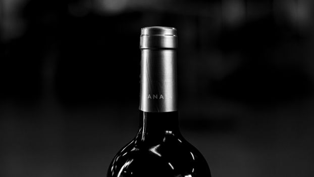 Artistic black and white photo of a wine bottle showing elegance and classic style.