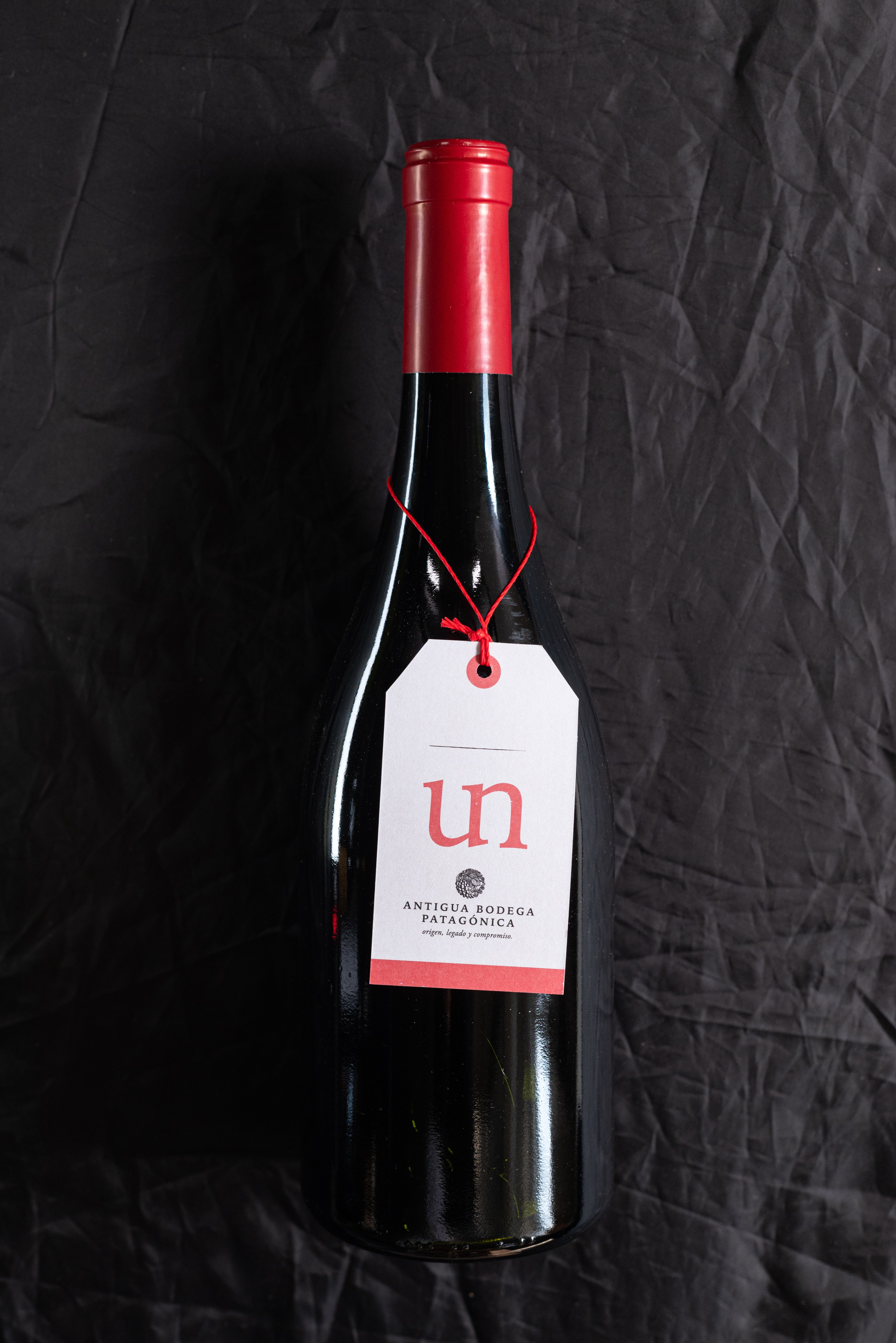 Sophisticated product image of an Argentine wine bottle with minimal background.