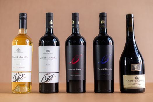 Mendoza wine weekend extension — Buenos Aires