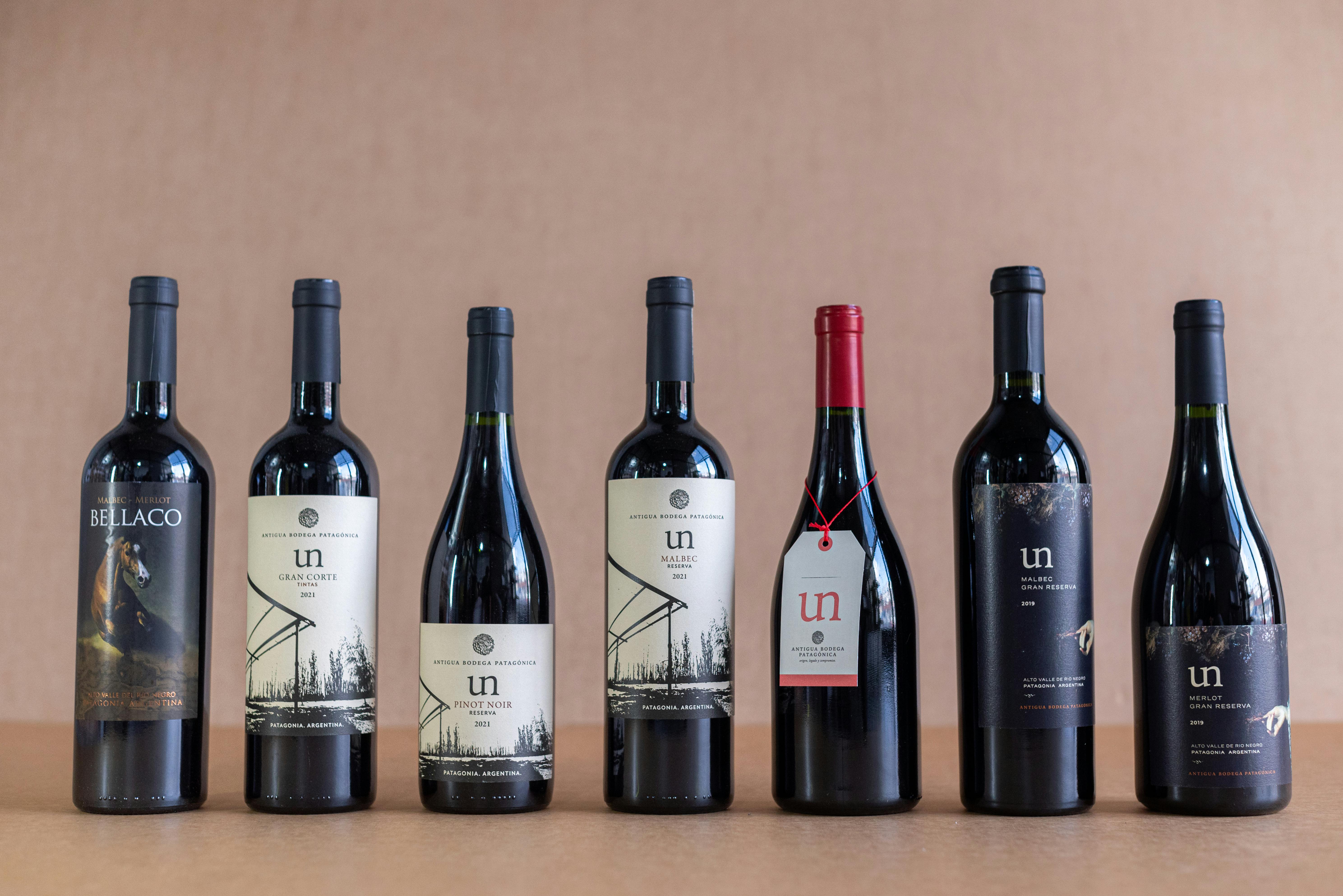 台股週一恐大跌逾千點？財經專家推2檔ETF穩健投資策略