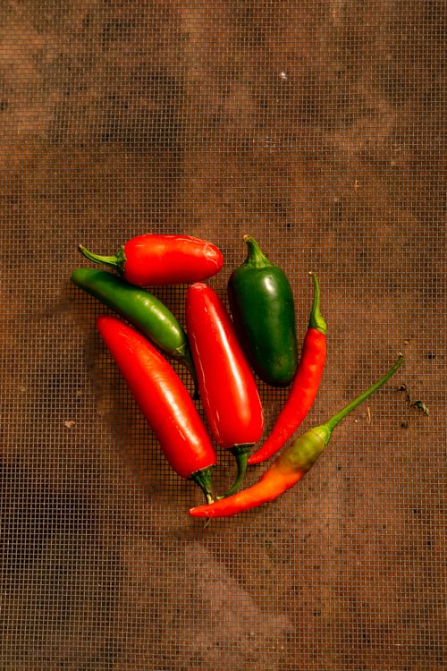 Vibrant Assorted Red and Green Chili Peppers · Free Stock Photo