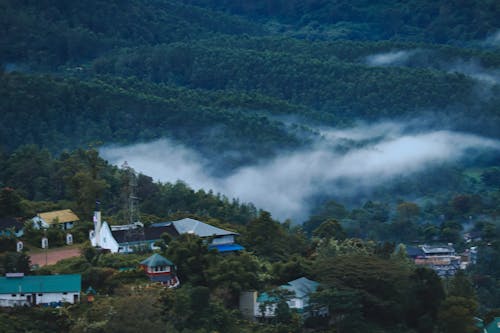 Fotobanka s bezplatnými fotkami na tému čajové plantáže, foggy krajina, hmla