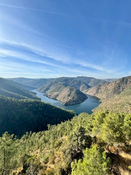 好的，我了解了您的需求