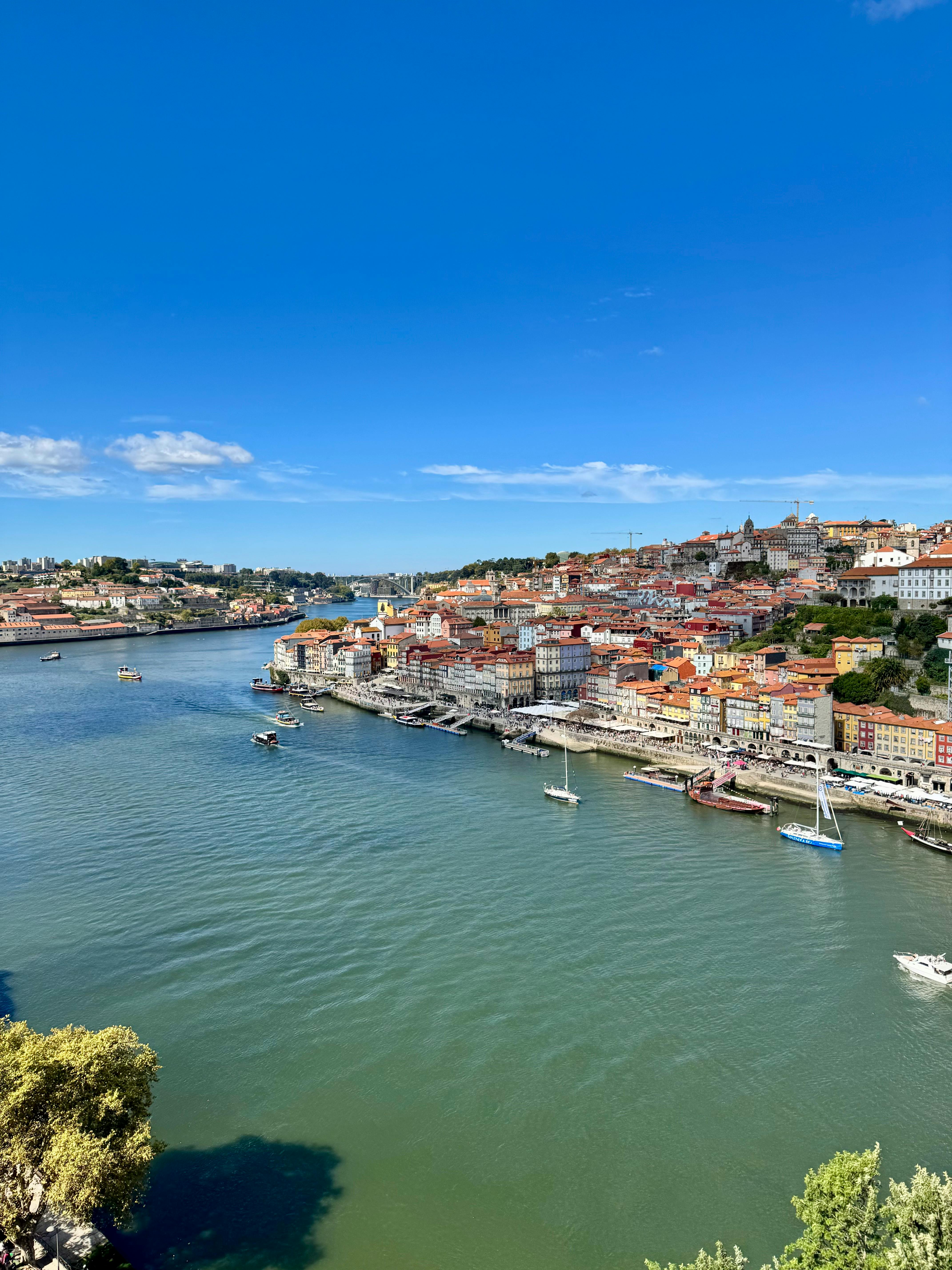 好的，我会根据您的要求进行句子的优化