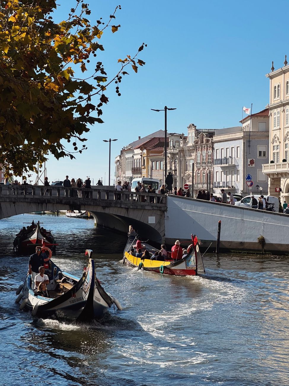 Aveiro em Movimento ritorna con forza da settembre