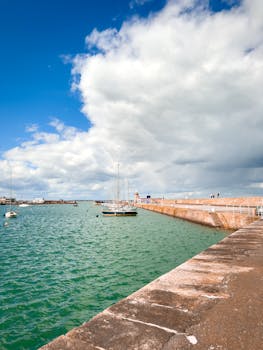 您没有提供需要优化的原始句子