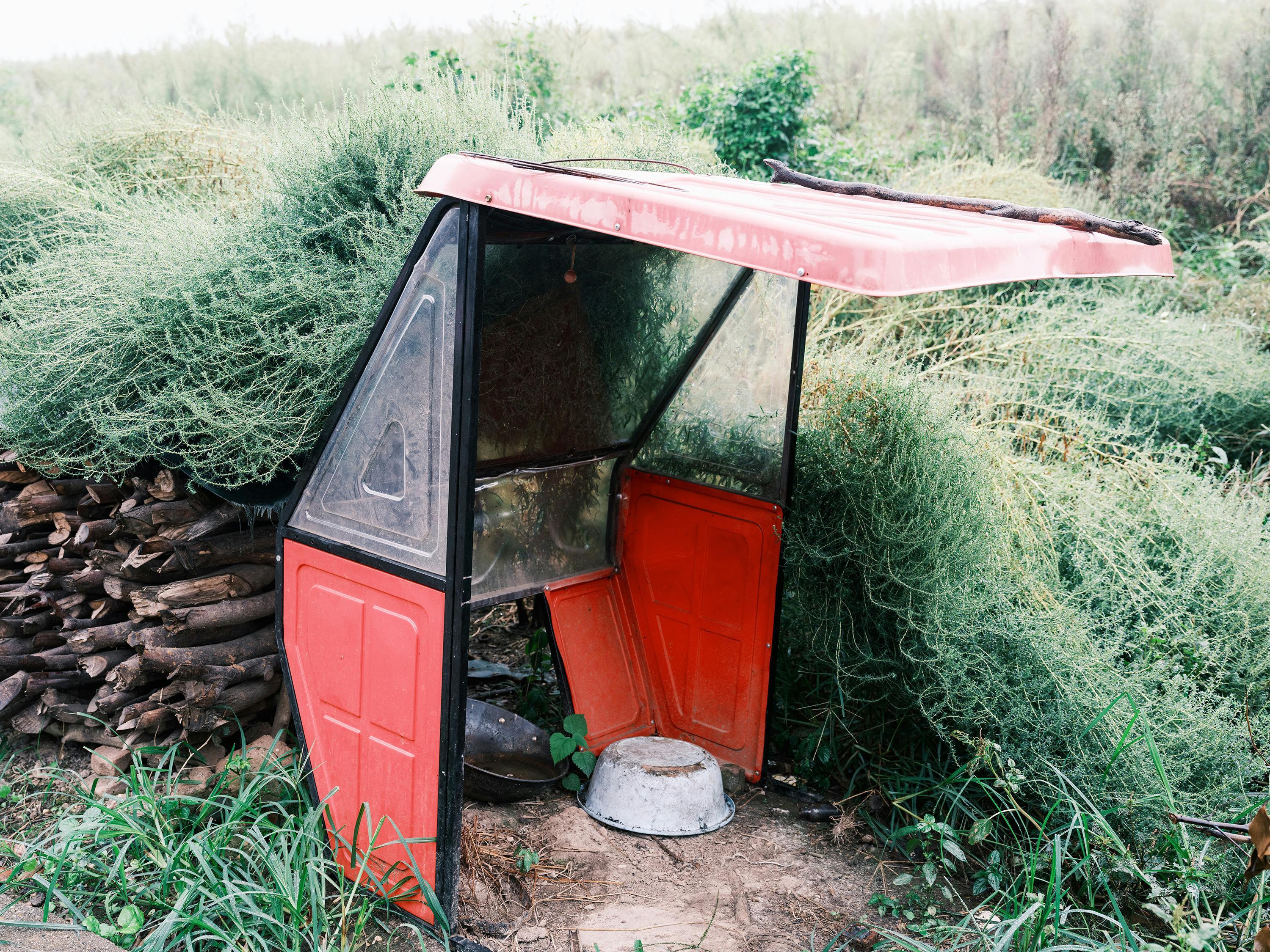 政治：台灣公糧保價政策困境與米價未來發展探討