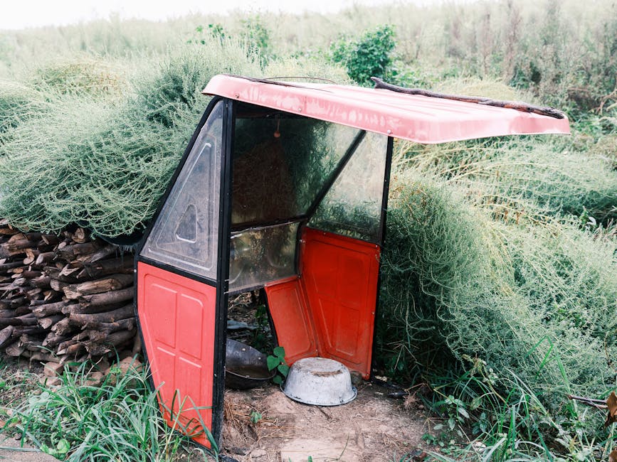 An abandoned vehicle shell partially hidden by overgrown brush in a rural field setting.