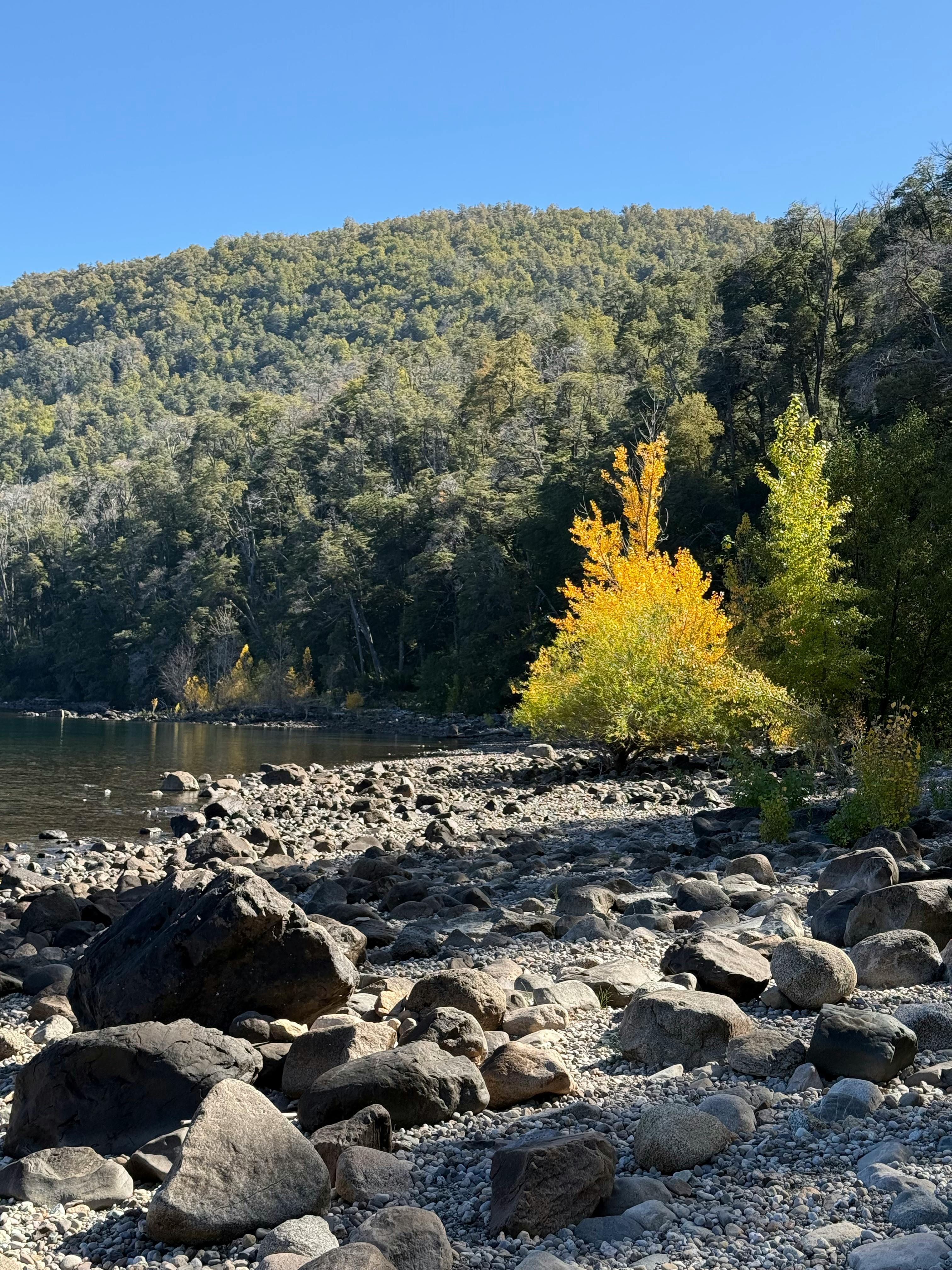 您提供的信息不足以进行优化