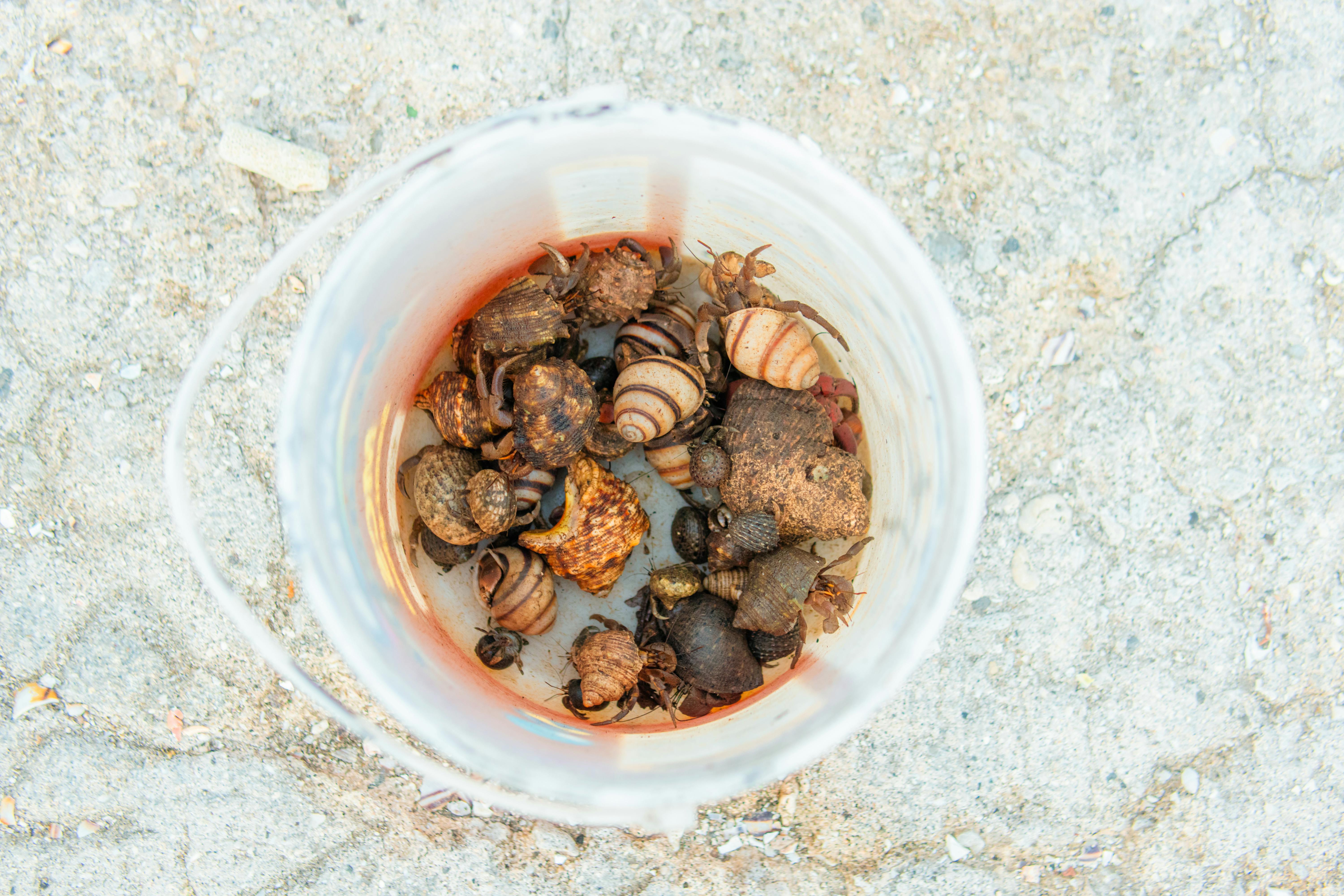 您的问题没有提供足够的信息，以便我能准确地理解并给出答案