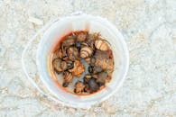 您的问题没有提供足够的信息，以便我能准确地理解并给出答案