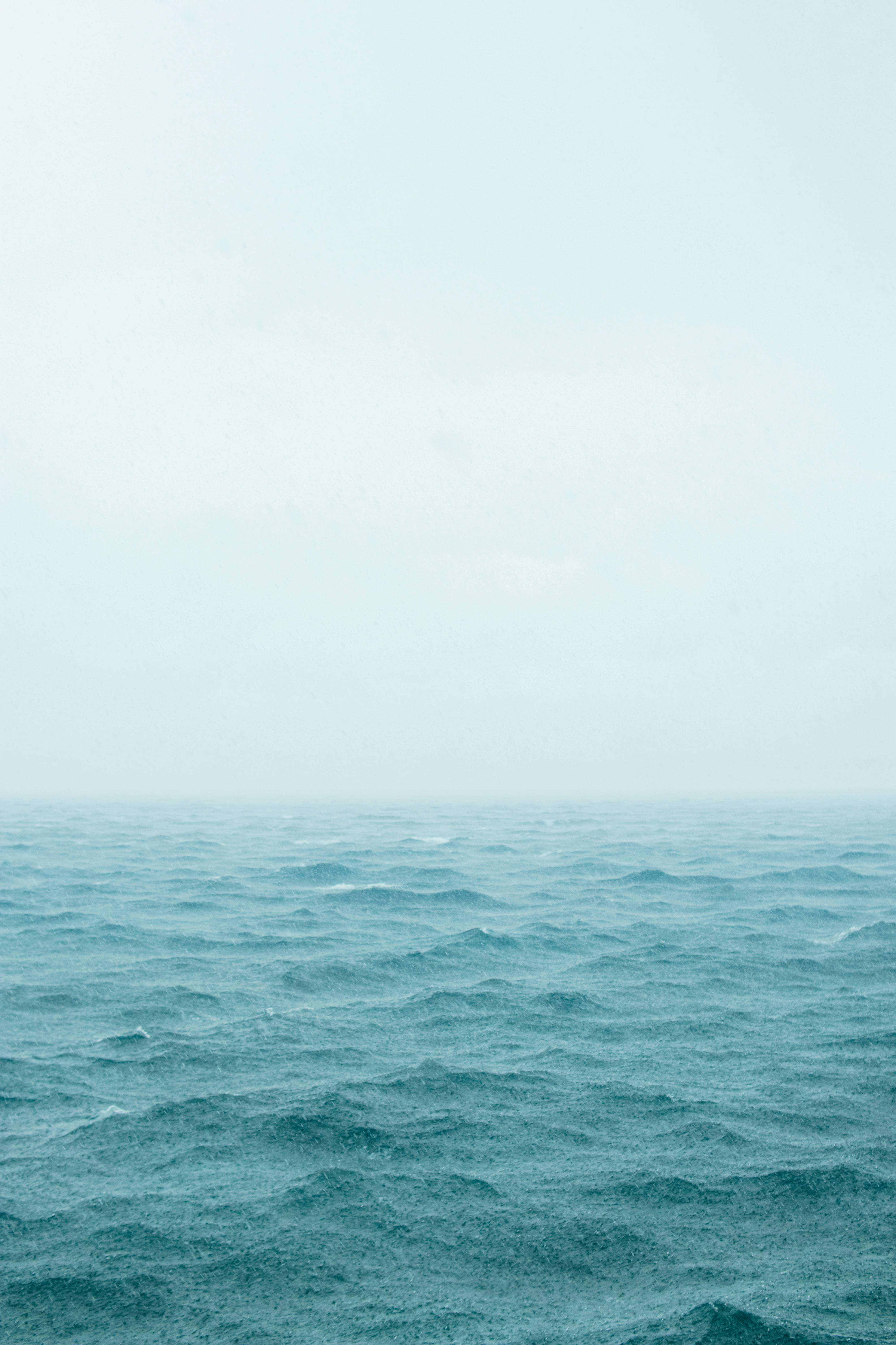 好的，我会按照您的要求进行句子的优化