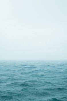 好的，我会按照您的要求进行句子的优化