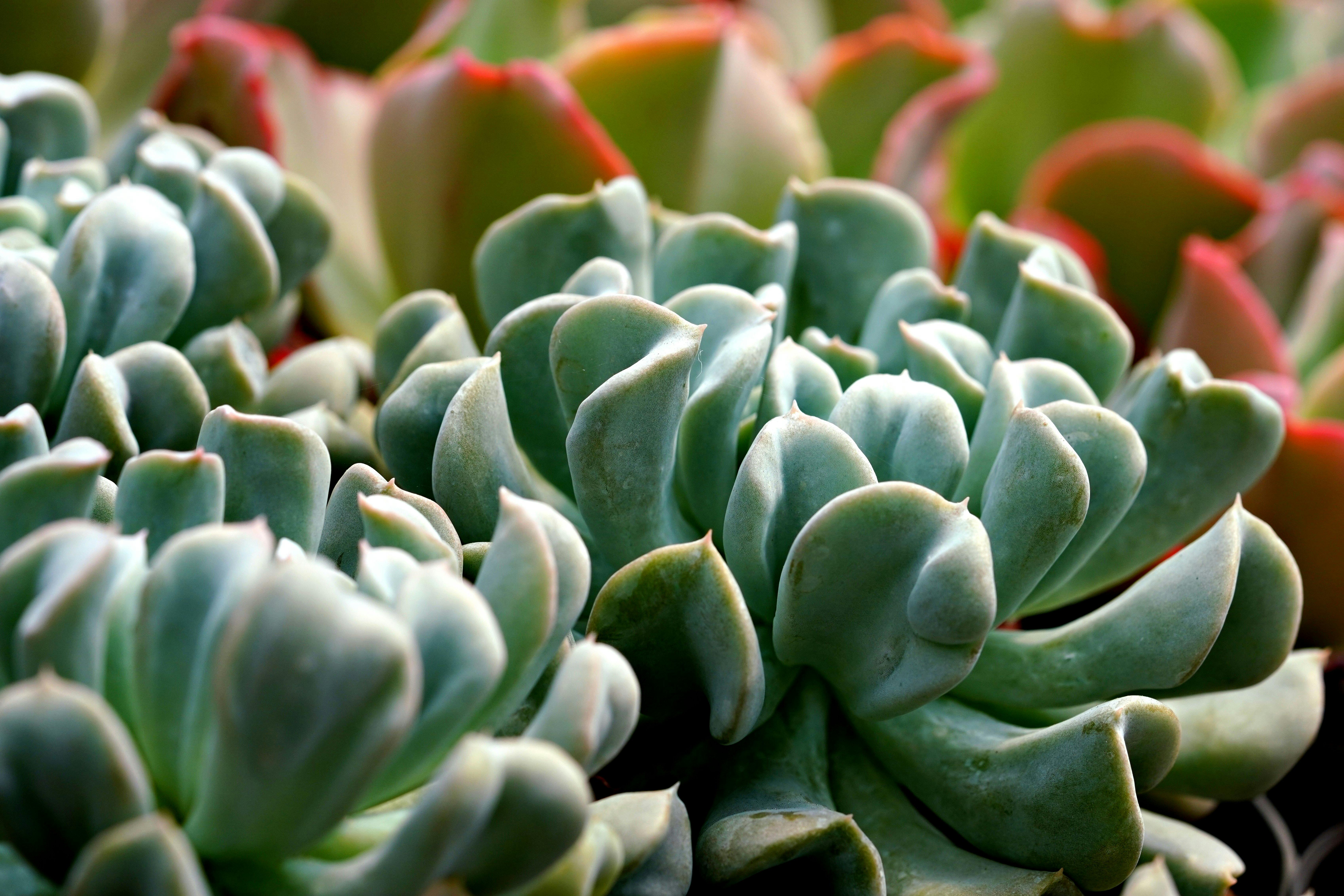 溫迪·威廉姆斯罕見採訪痛批輔助生活設施為「垃圾場」