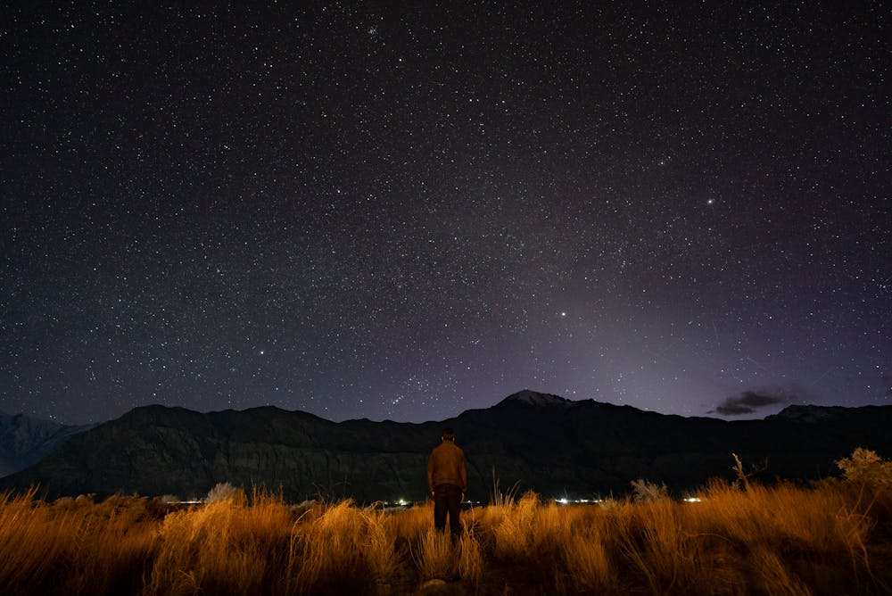 Winter Wonder Margarita Winter Wonder Margarita