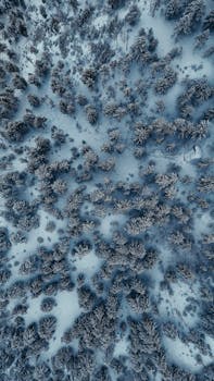 A breathtaking aerial view of a snow-covered forest, depicting serene winter beauty.